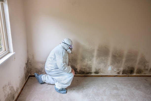 Best Residential Mold Inspection & Testing  in Carrollton, GA